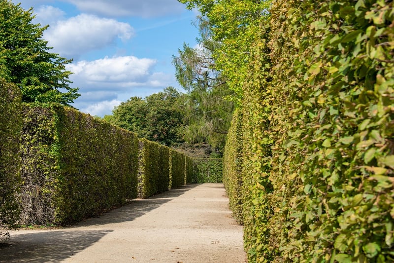 Outdoor Labyrinth